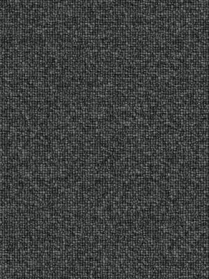 Academy 167 – Warm Beige Tone with Smooth Texture