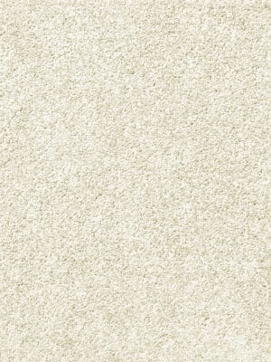 Soft carpet installation for Toronto homes