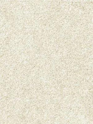 Soft carpet installation for Toronto homes