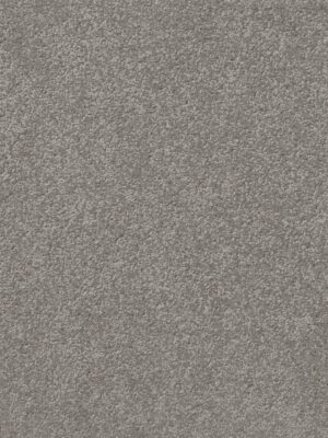 Clean carpet installation in Toronto condo