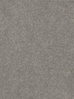 Clean carpet installation in Toronto condo