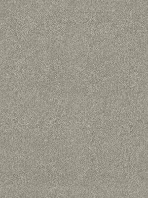 Clean carpet installation in Toronto condo