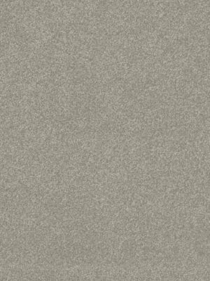 Clean carpet installation in Toronto condo