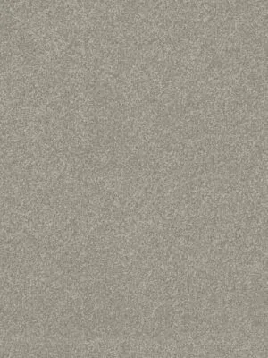 Clean carpet installation in Toronto condo