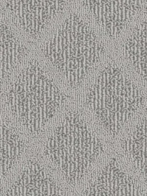 Carpet layers working in Toronto home