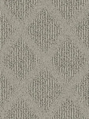 Expert Toronto team installing new carpet