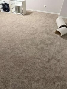 Fresh carpet layer