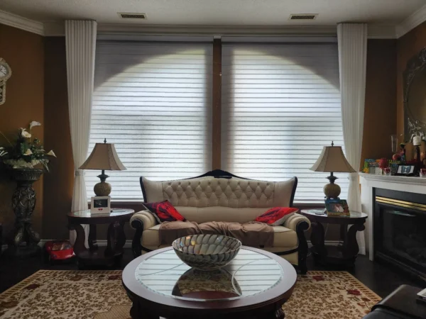 Window Blinds Collection - Image 16