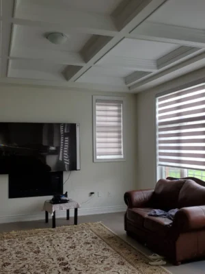 Window Blinds Collection