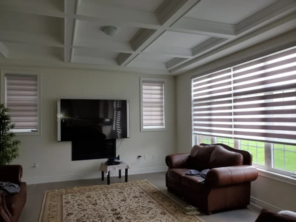 Window Blinds Collection