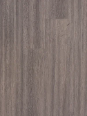 Catalina D&D | Vinyl Flooring - SPC