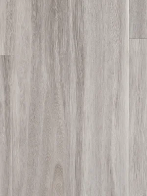 Silver Fox Legacy | Vinyl Flooring - SPC
