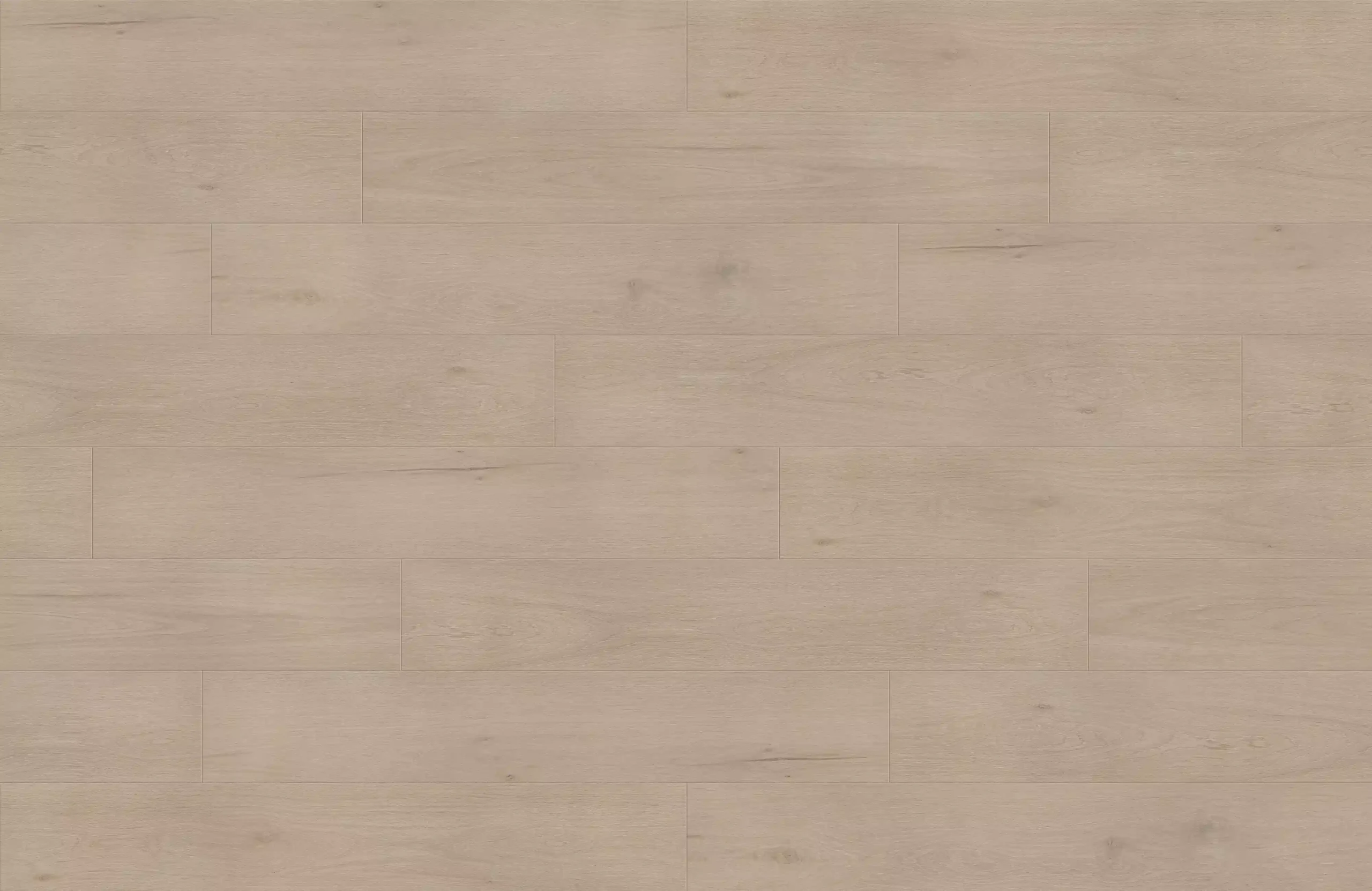 Horizon 1906-19 - 12mm Premier Laminate - Image 2