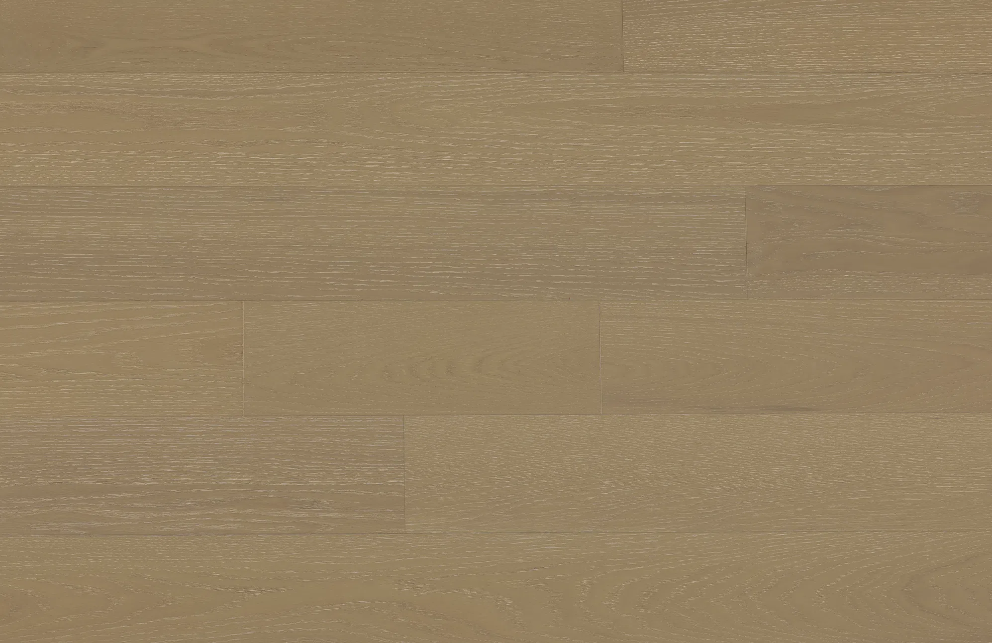 Oak Biscotti 2mm Select and Better - 6 Inch Engineered Hardwood - Image 2