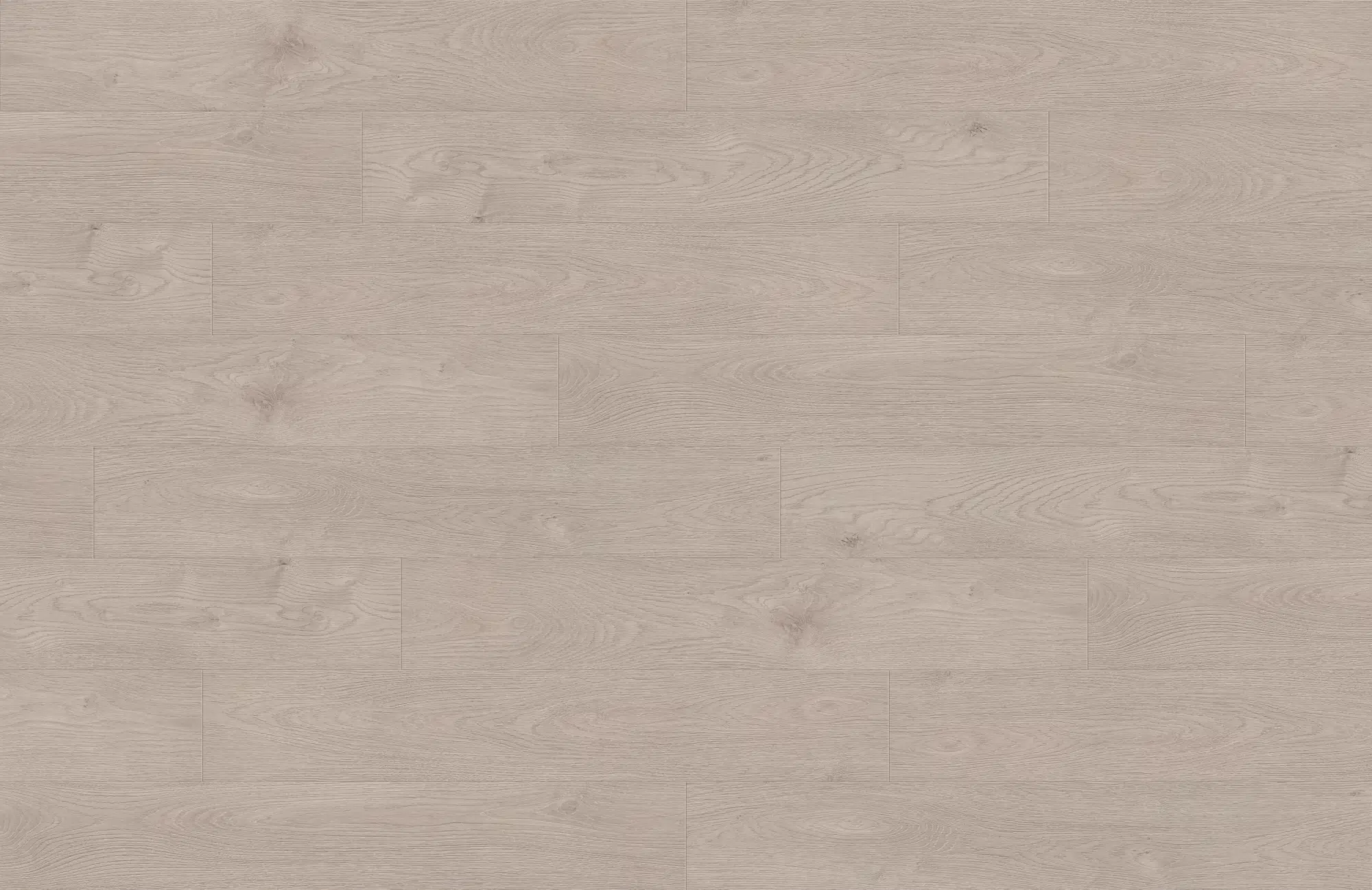 Titanium 1905-4 - 12mm Premier Laminate - Image 2