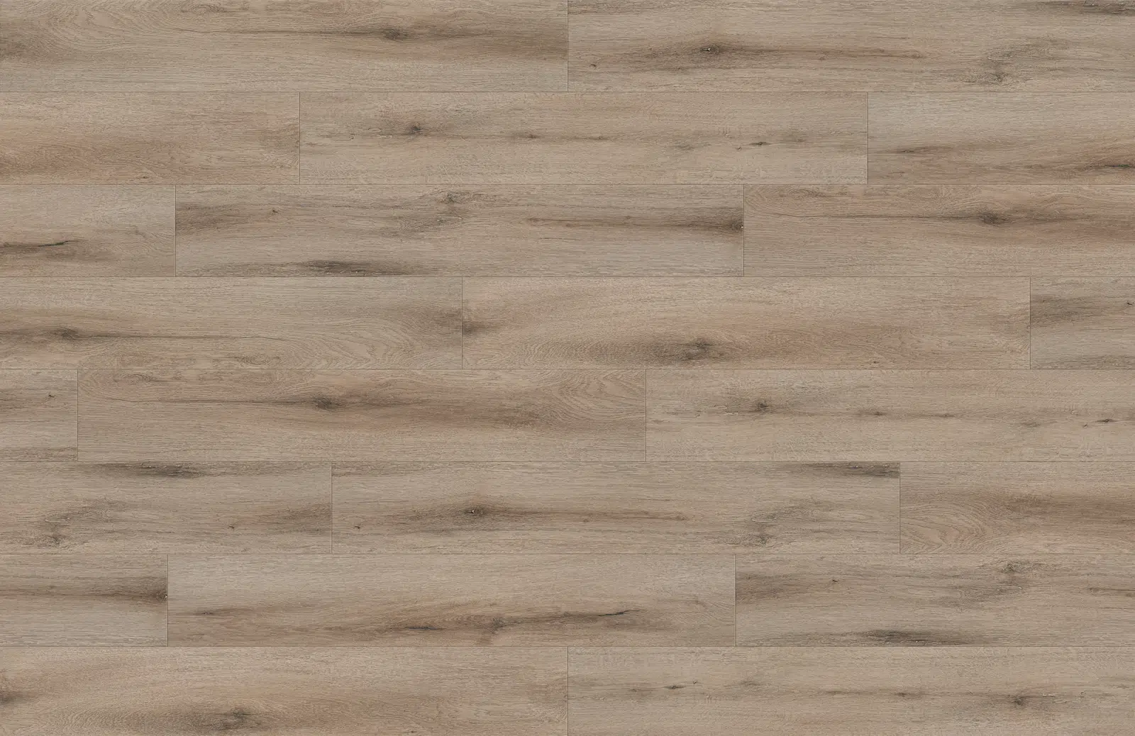 Zenith 1703-1 - 12mm Premier Laminate - Image 2