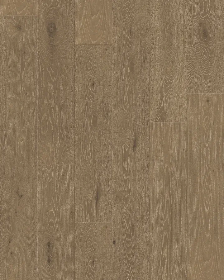 Hazelnut - Image 2