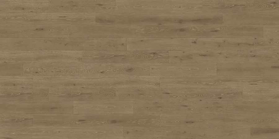 Hazelnut - Image 3