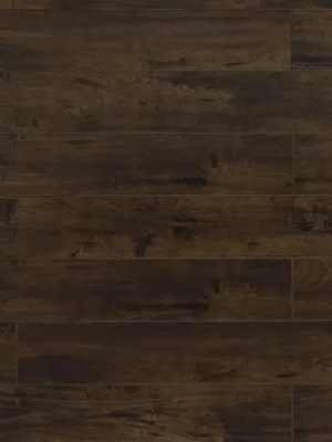 Titan Oak