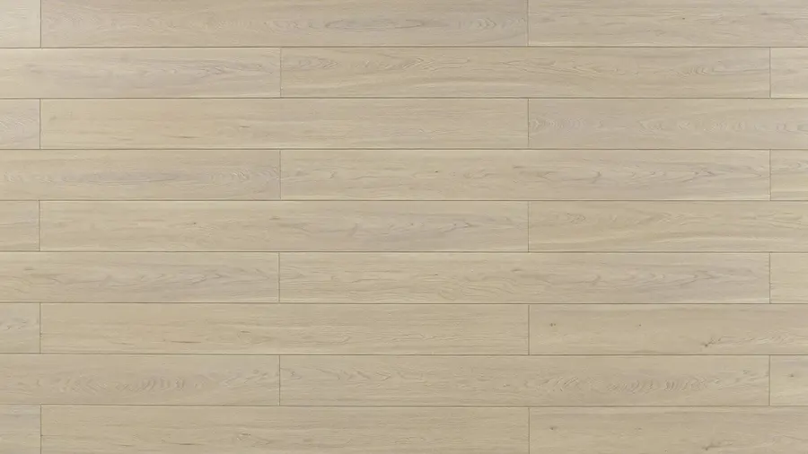 Canvas - Image 3