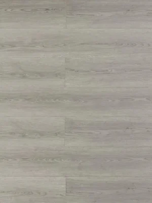 Otter