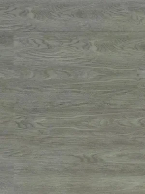 Everest Grey