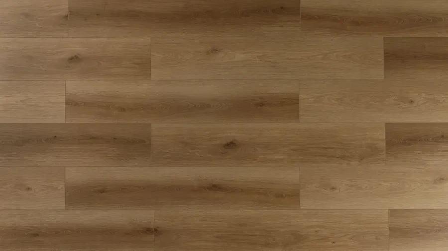 Terra - Image 2