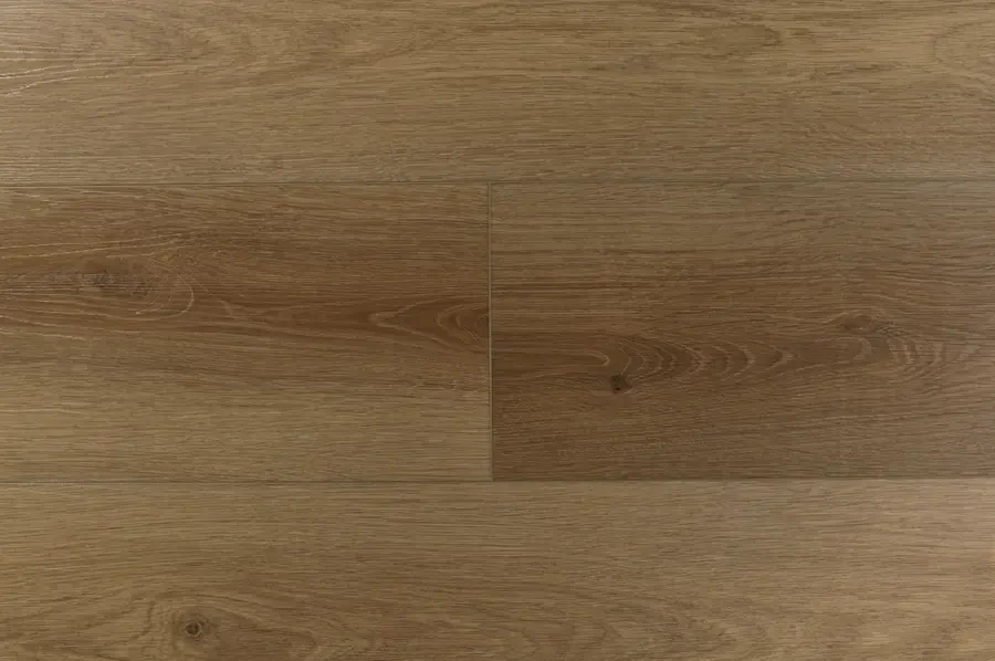 Terra - Image 3