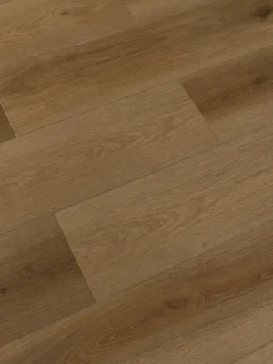 Terra