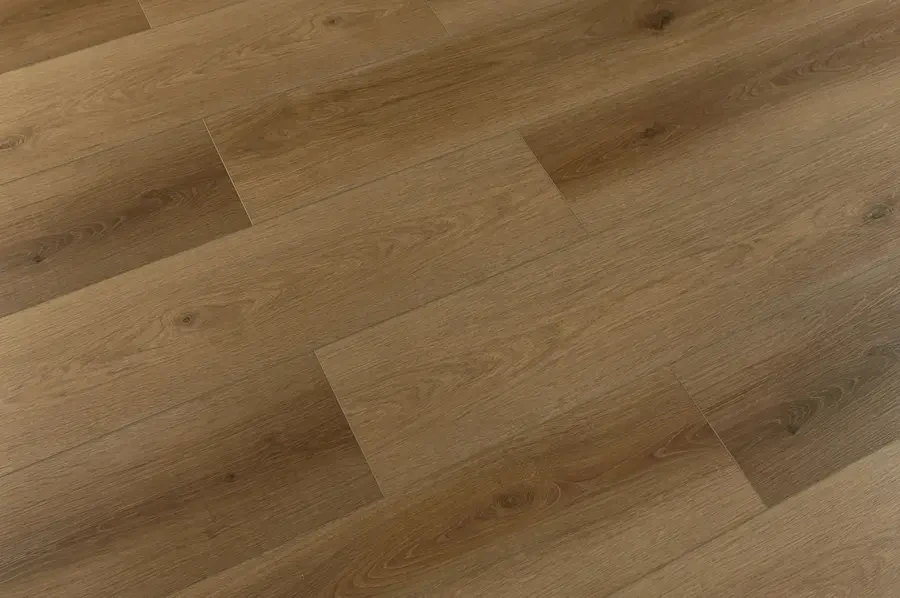 Terra