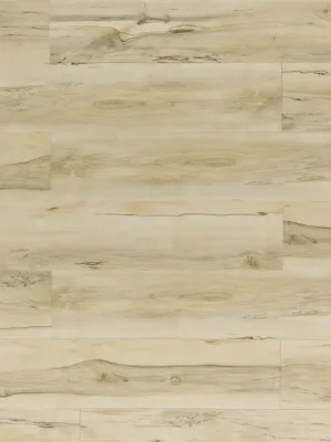 Urban Maple