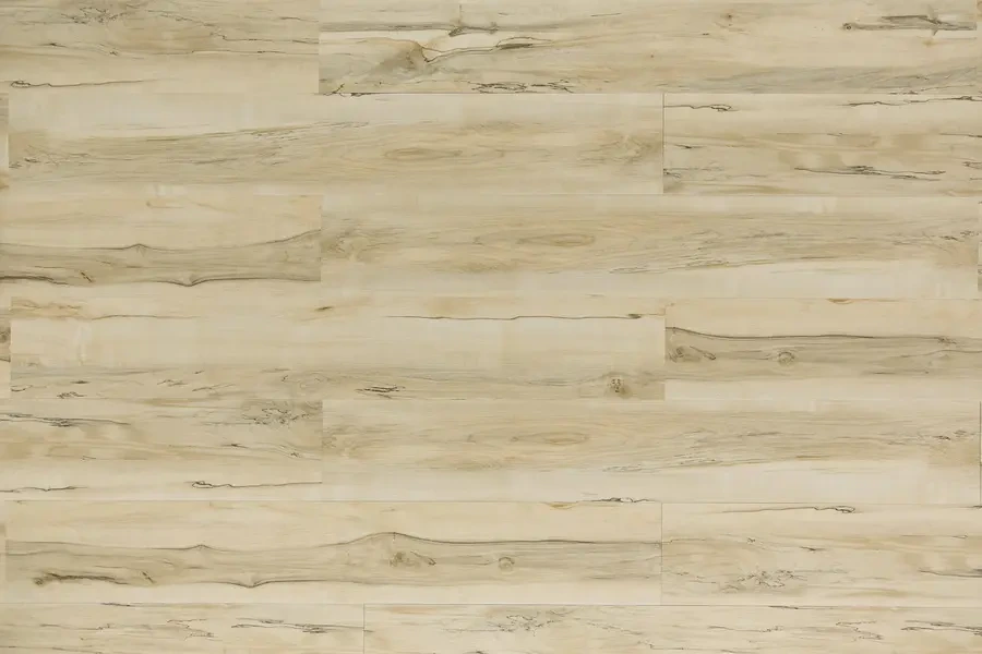Urban Maple